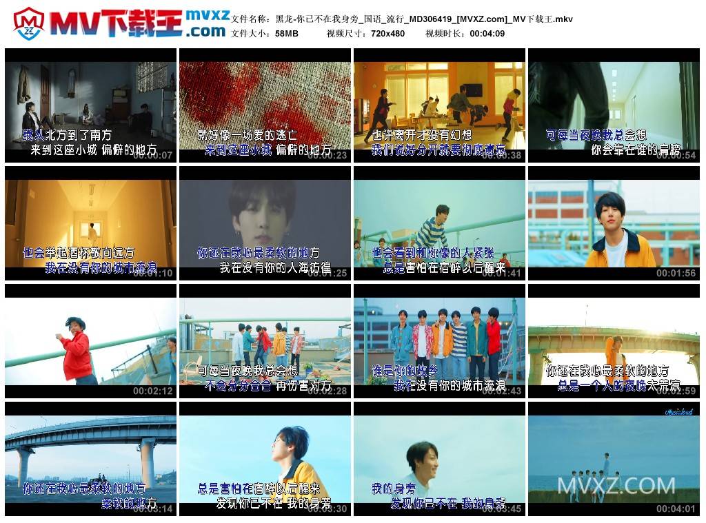 黑龙-你已不在我身旁_国语_流行_MD306419